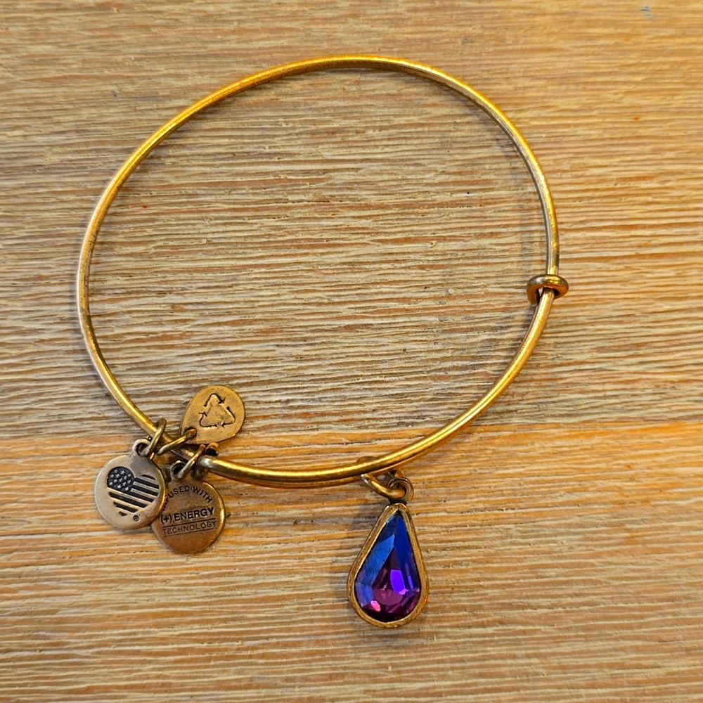 Amethyst Drop Alex and Ani Bracelet